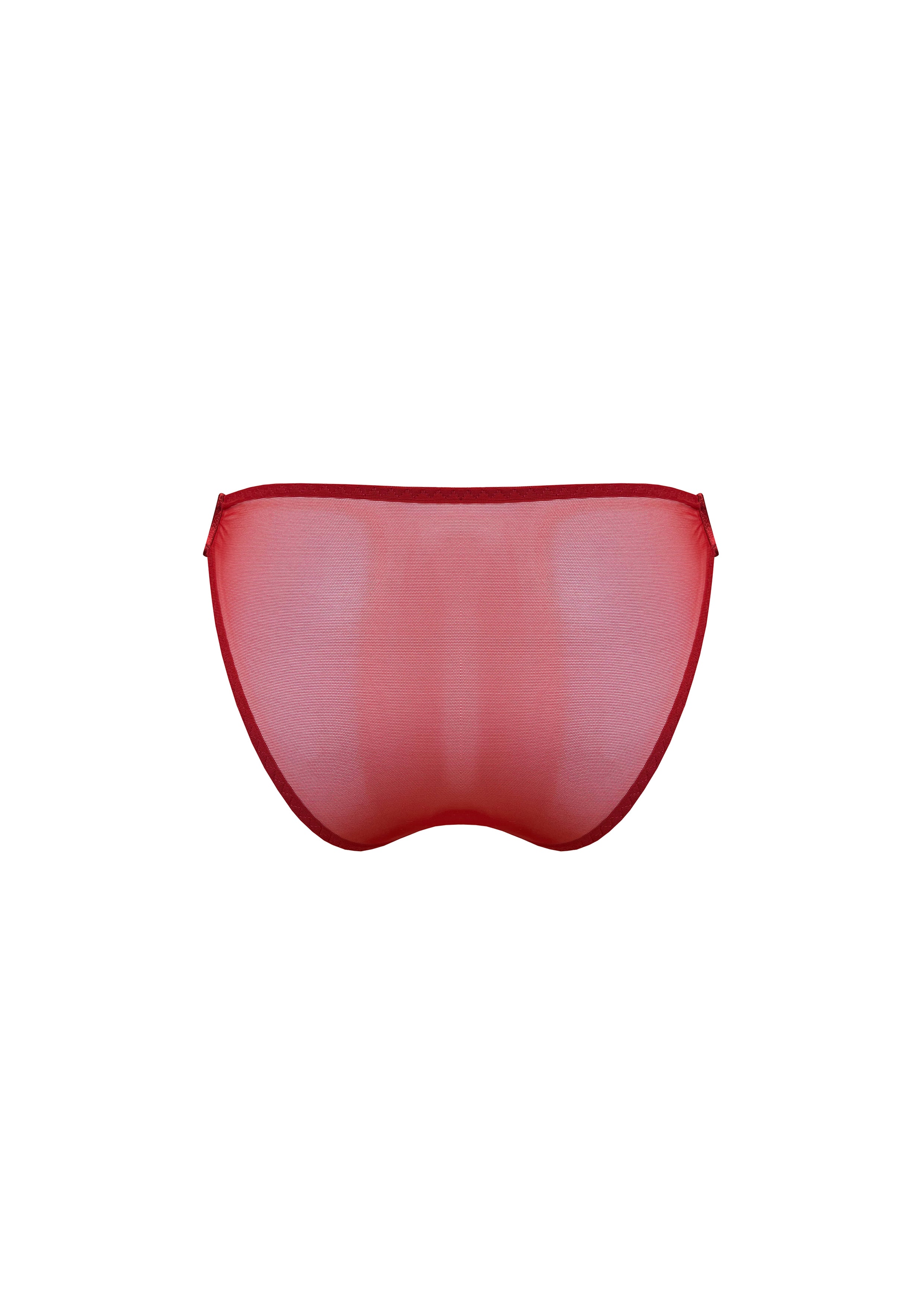 Signature Mesh Brief - Image 8