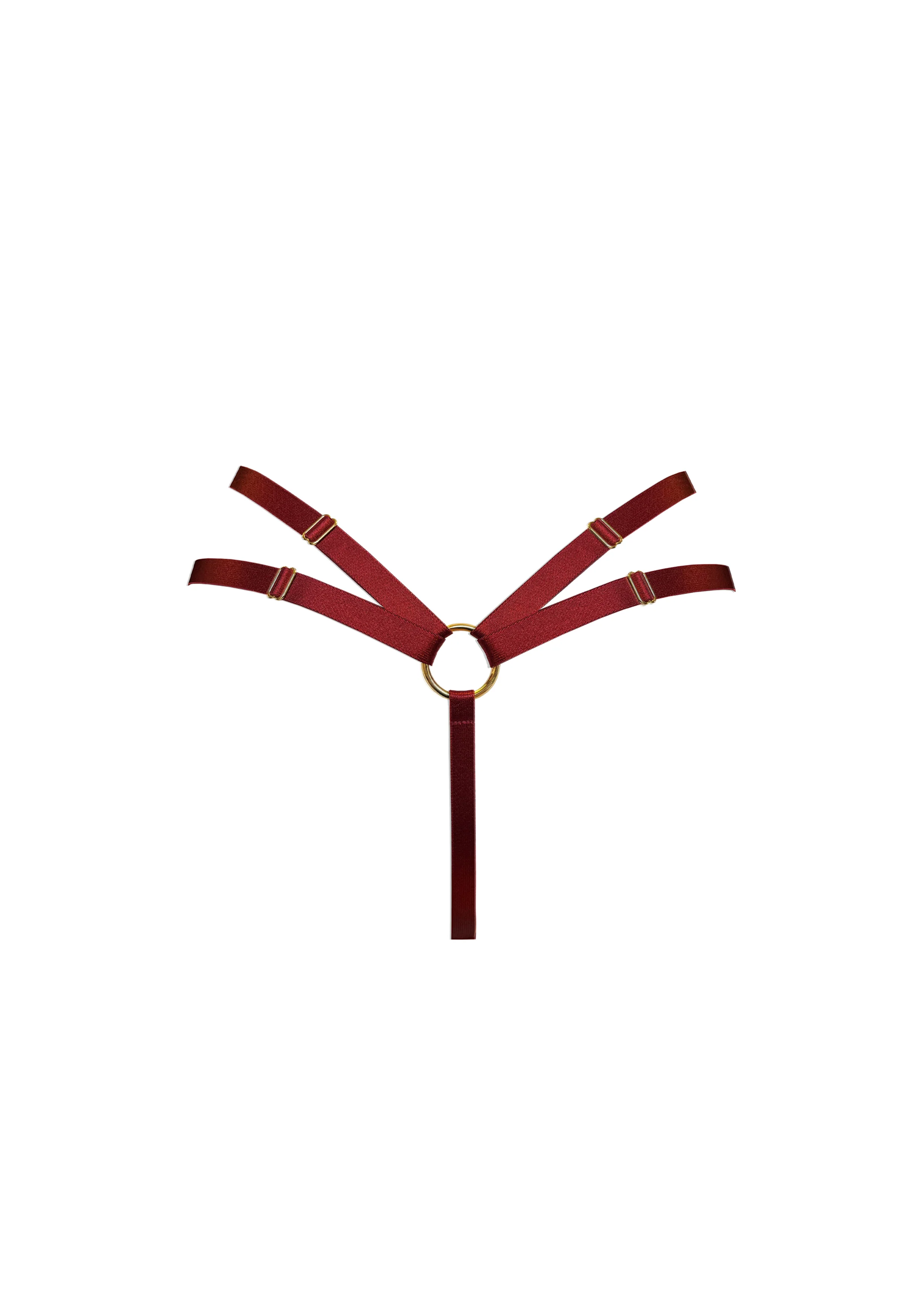 Signature Mesh Harness Thong - Image 13