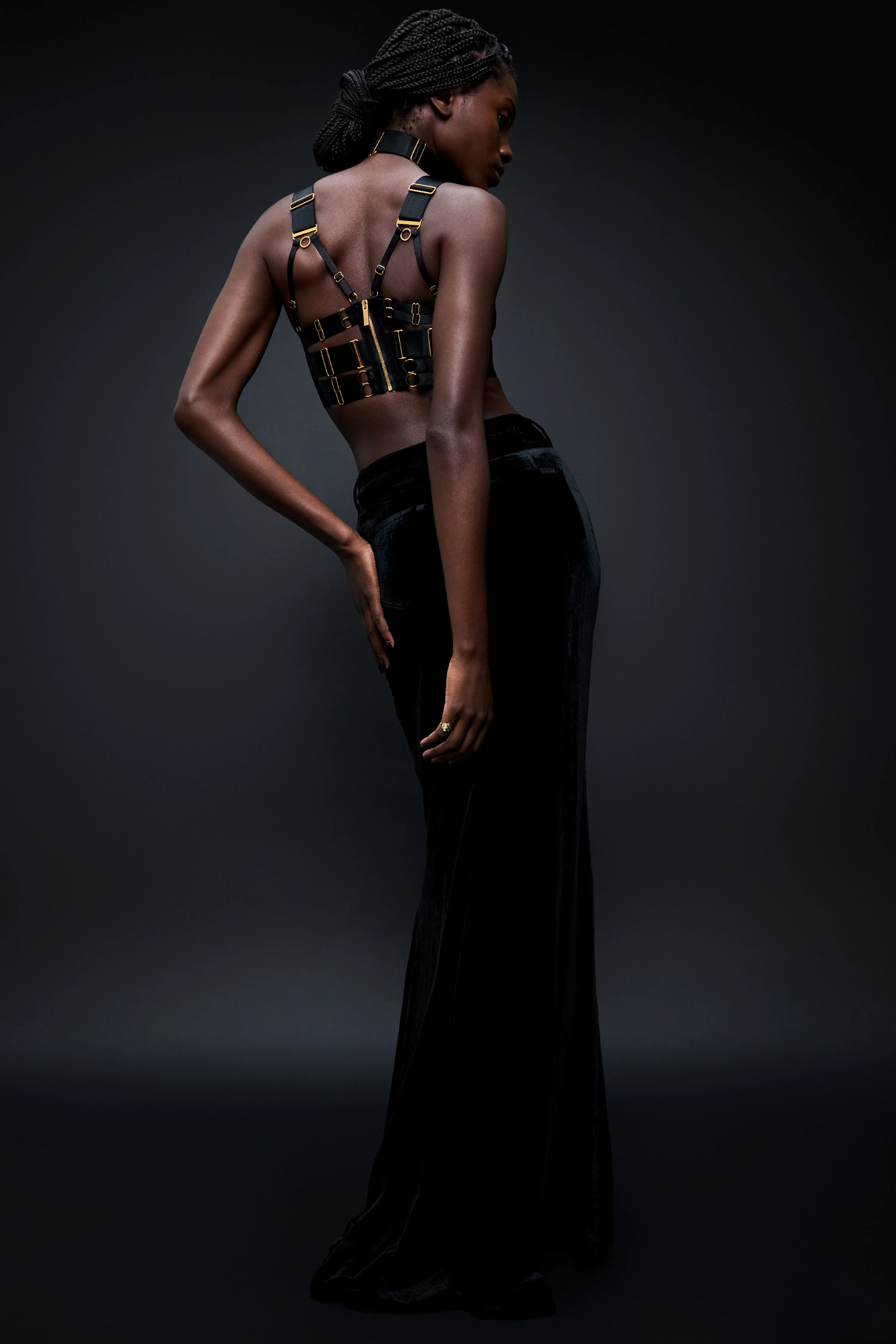 Signature Panelled Bodice Bra - Image 11