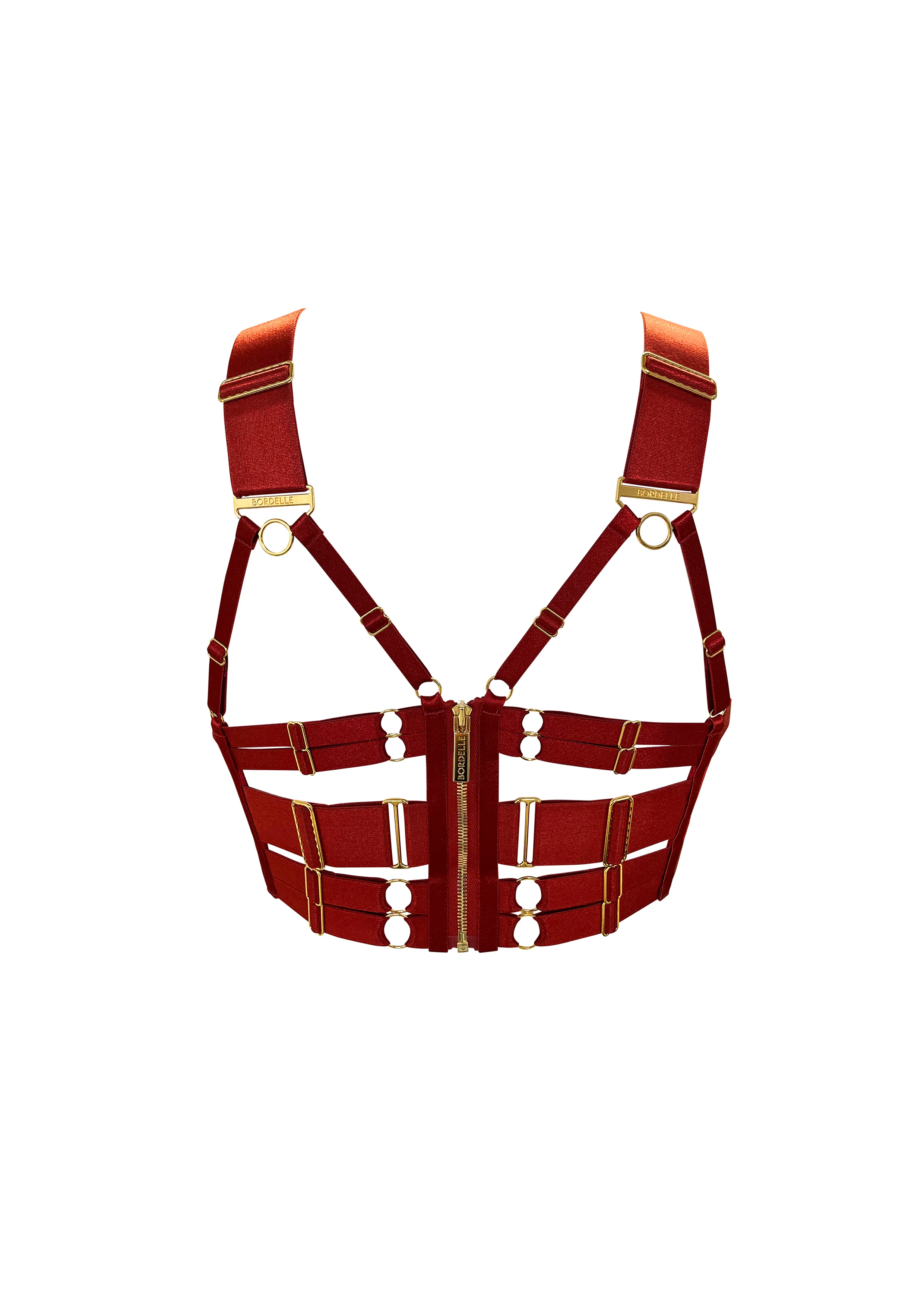 Signature Panelled Bodice Bra - Image 14